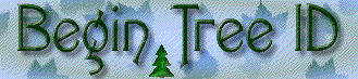 Click here to begin Tree ID